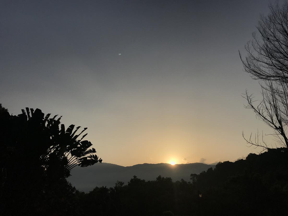 Wisdom Garden Home Stay Yuli Dış mekan fotoğraf