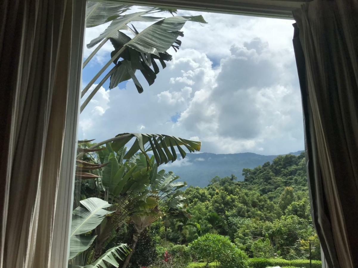 Wisdom Garden Home Stay Yuli Dış mekan fotoğraf